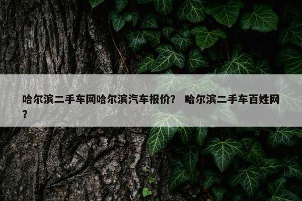 哈尔滨二手车网哈尔滨汽车报价？ 哈尔滨二手车百姓网？