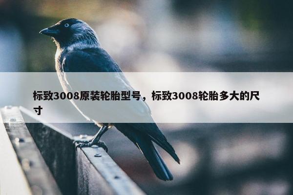 标致3008原装轮胎型号，标致3008轮胎多大的尺寸