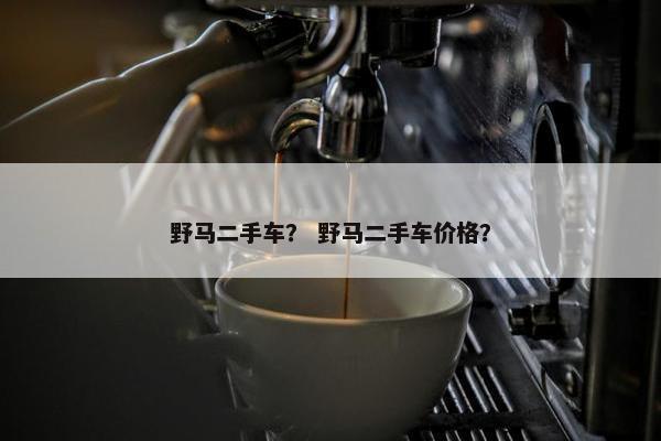 野马二手车？ 野马二手车价格？
