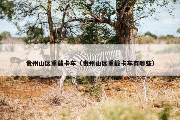 贵州山区重载卡车（贵州山区重载卡车有哪些）