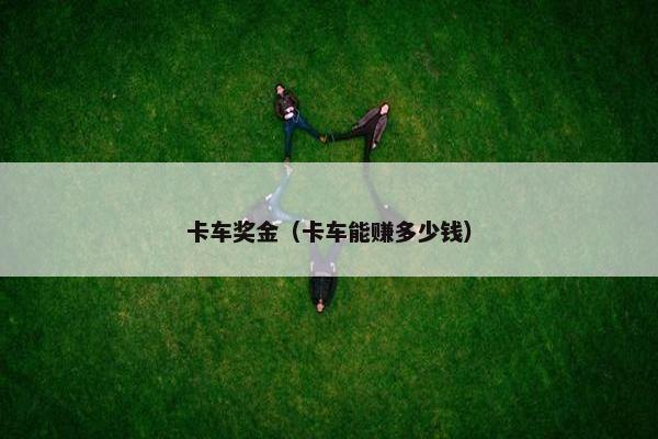 卡车奖金（卡车能赚多少钱）