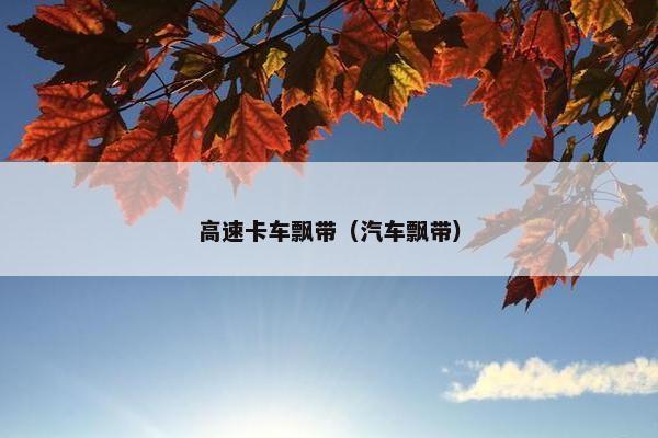 高速卡车飘带（汽车飘带）