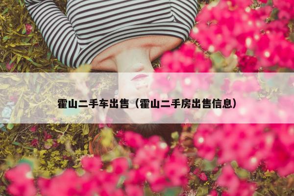 霍山二手车出售（霍山二手房出售信息）