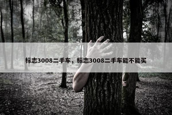标志3008二手车，标志3008二手车能不能买