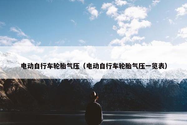 电动自行车轮胎气压（电动自行车轮胎气压一览表）