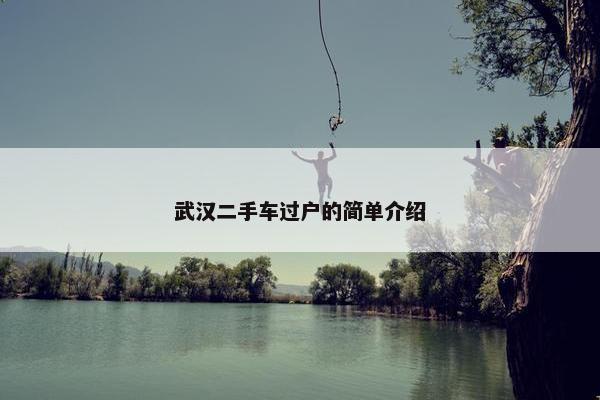 武汉二手车过户的简单介绍
