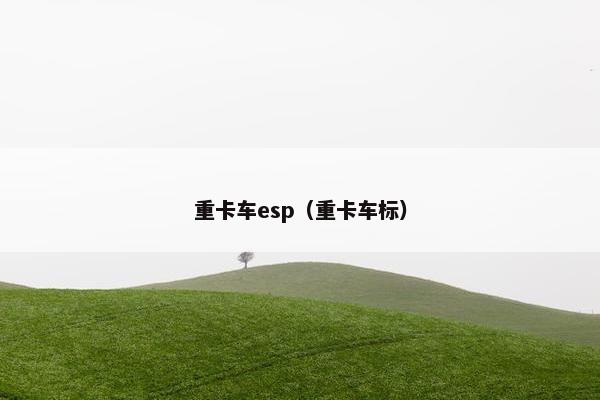 重卡车esp（重卡车标）
