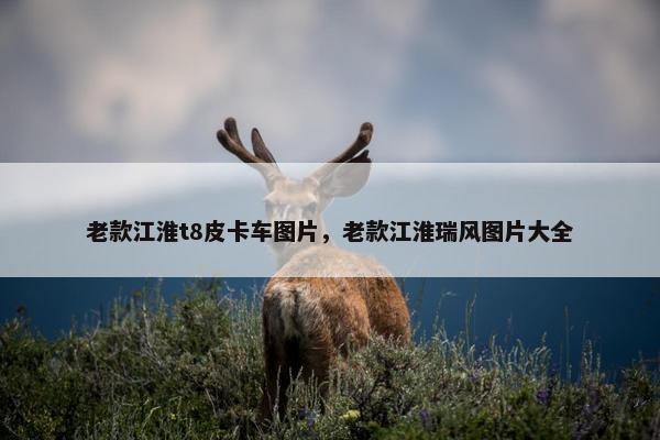 老款江淮t8皮卡车图片，老款江淮瑞风图片大全