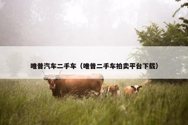 唯普汽车二手车（唯普二手车拍卖平台下载）