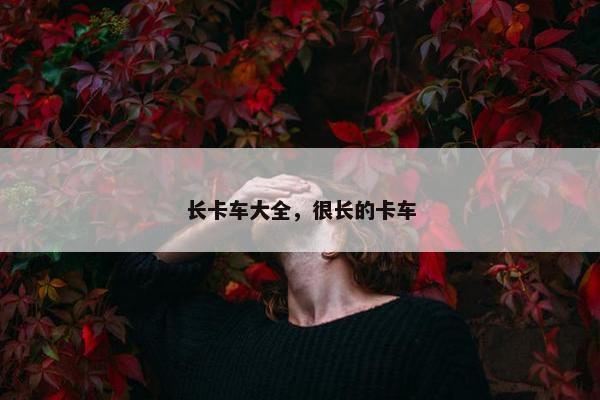 长卡车大全，很长的卡车