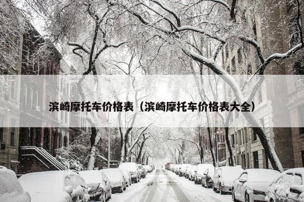 滨崎摩托车价格表（滨崎摩托车价格表大全）