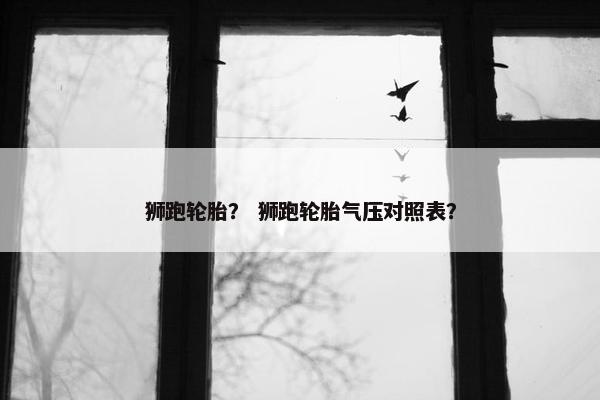 狮跑轮胎？ 狮跑轮胎气压对照表？
