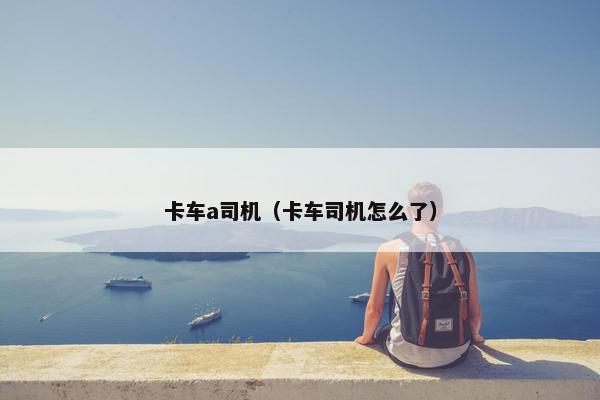 卡车a司机（卡车司机怎么了）