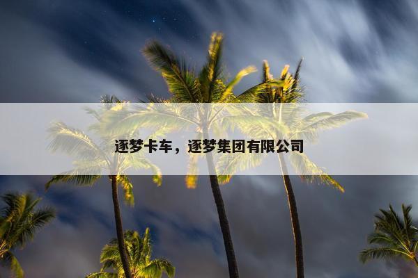 逐梦卡车，逐梦集团有限公司