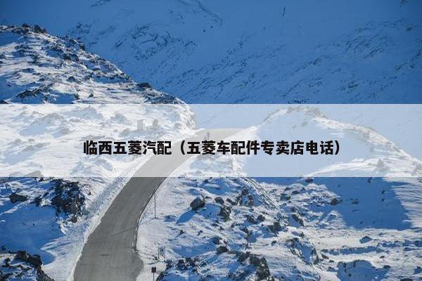 临西五菱汽配（五菱车配件专卖店电话）