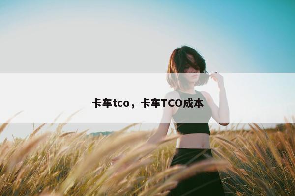卡车tco，卡车TCO成本