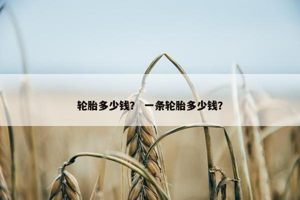 轮胎多少钱？ 一条轮胎多少钱？