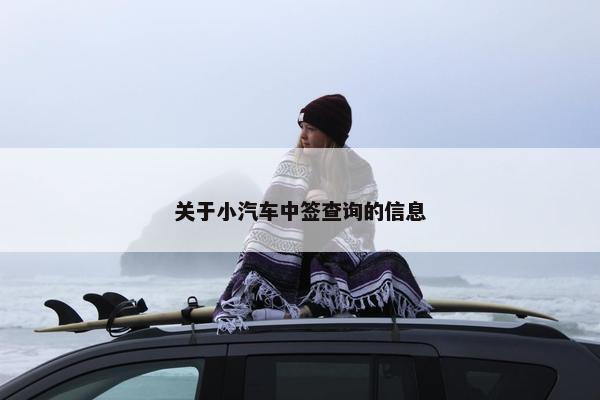 关于小汽车中签查询的信息