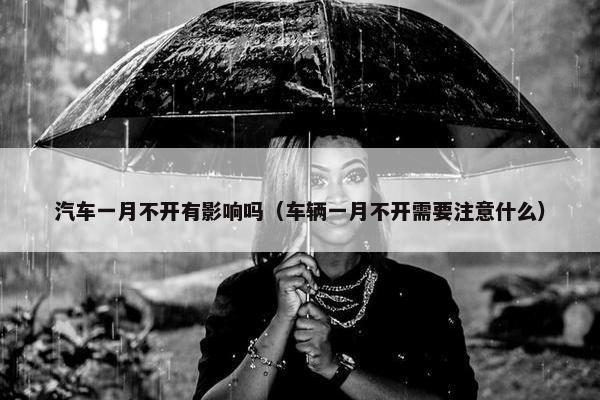 汽车一月不开有影响吗（车辆一月不开需要注意什么）