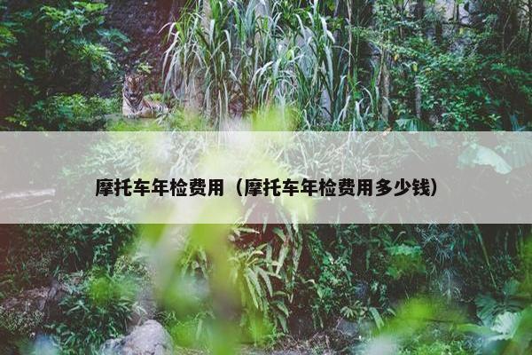 摩托车年检费用（摩托车年检费用多少钱）