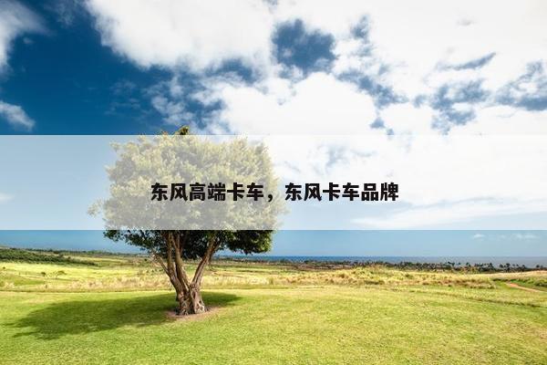 东风高端卡车，东风卡车品牌