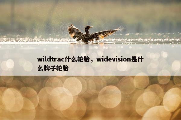 wildtrac什么轮胎，widevision是什么牌子轮胎