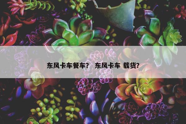 东风卡车餐车？ 东风卡车 载货？