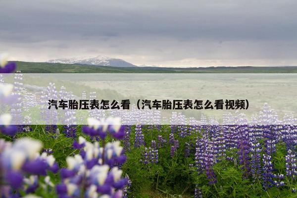 汽车胎压表怎么看（汽车胎压表怎么看视频）