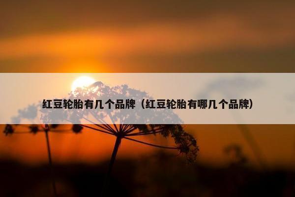 红豆轮胎有几个品牌（红豆轮胎有哪几个品牌）