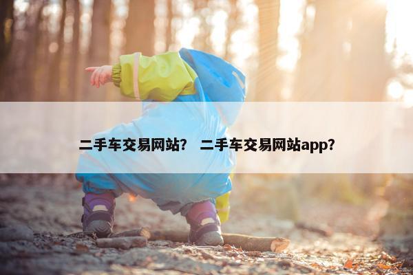二手车交易网站？ 二手车交易网站app？