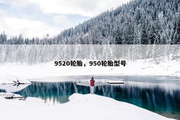 9520轮胎，950轮胎型号