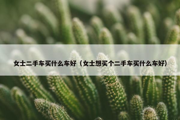 女士二手车买什么车好（女士想买个二手车买什么车好）