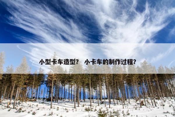 小型卡车造型？ 小卡车的制作过程？