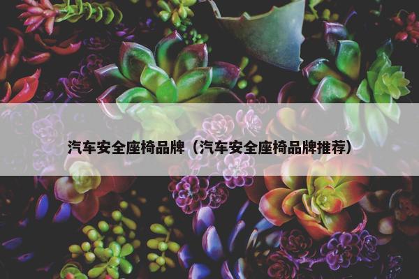 汽车安全座椅品牌（汽车安全座椅品牌推荐）
