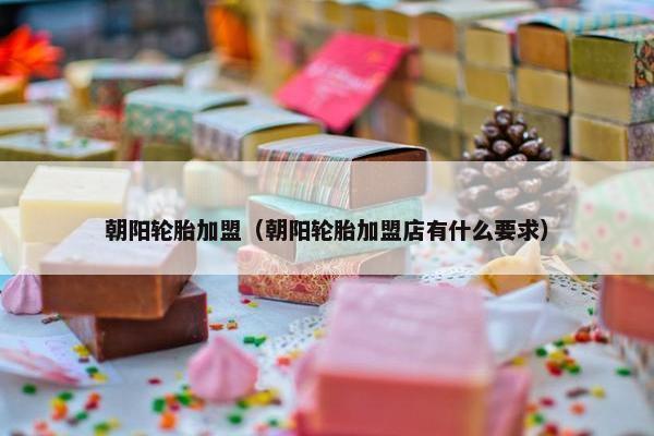 朝阳轮胎加盟（朝阳轮胎加盟店有什么要求）