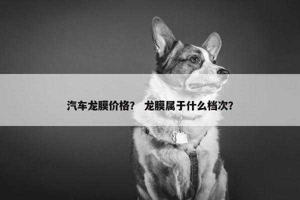 汽车龙膜价格？ 龙膜属于什么档次？