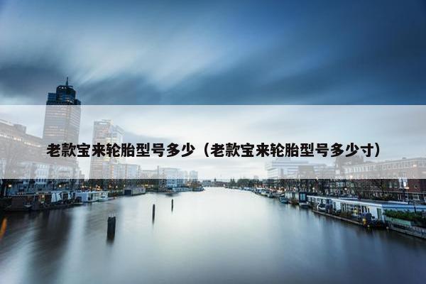 老款宝来轮胎型号多少（老款宝来轮胎型号多少寸）