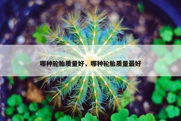 哪种轮胎质量好，哪种轮胎质量最好