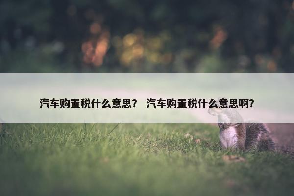 汽车购置税什么意思？ 汽车购置税什么意思啊？