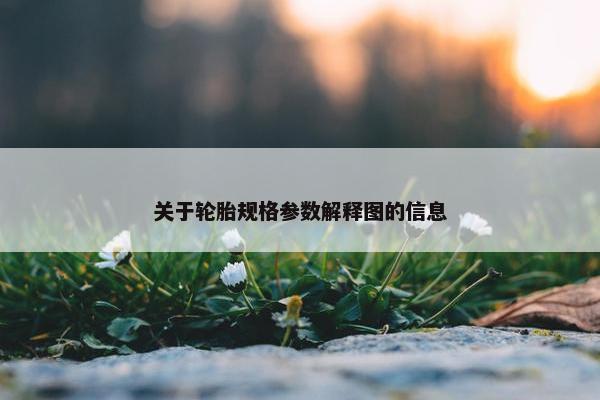 关于轮胎规格参数解释图的信息