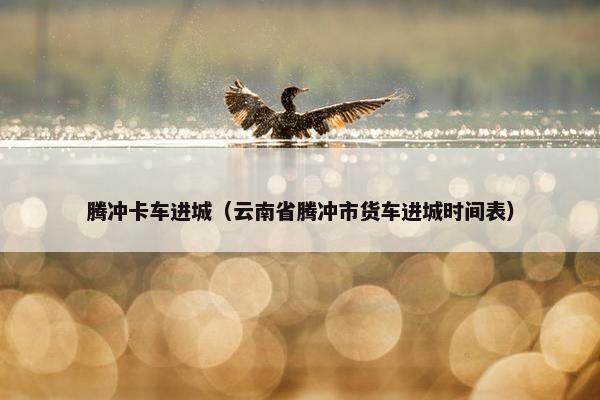 腾冲卡车进城（云南省腾冲市货车进城时间表）