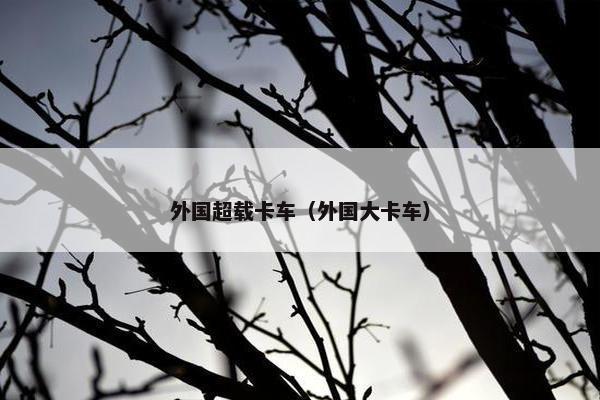 外国超载卡车（外国大卡车）