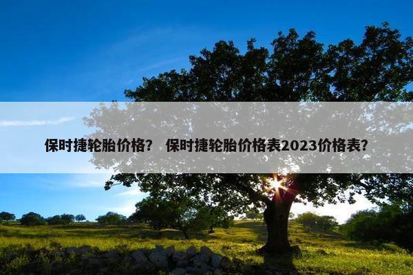 保时捷轮胎价格？ 保时捷轮胎价格表2023价格表？