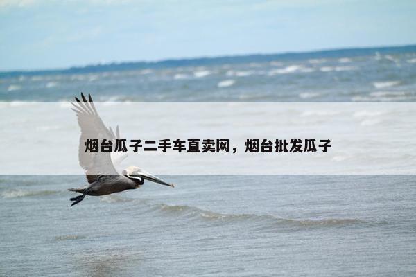 烟台瓜子二手车直卖网，烟台批发瓜子
