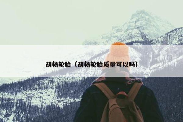 胡杨轮胎（胡杨轮胎质量可以吗）