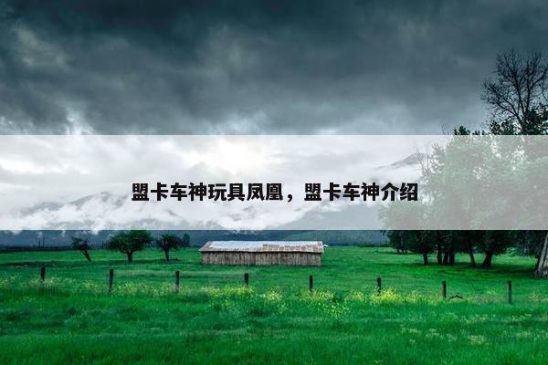 盟卡车神玩具凤凰，盟卡车神介绍