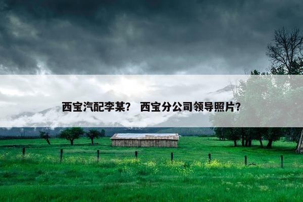 西宝汽配李某？ 西宝分公司领导照片？