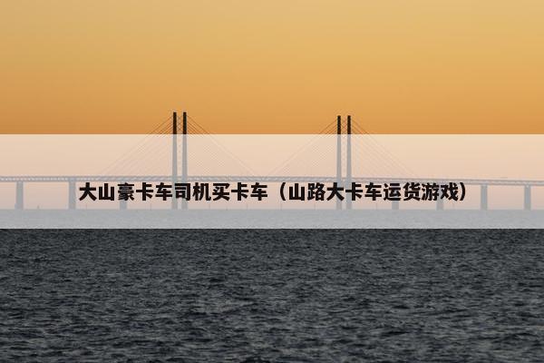 大山豪卡车司机买卡车（山路大卡车运货游戏）