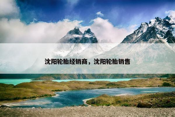 沈阳轮胎经销商，沈阳轮胎销售