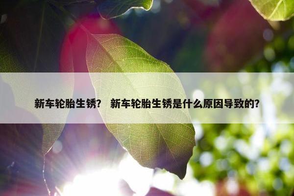 新车轮胎生锈？ 新车轮胎生锈是什么原因导致的？